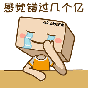 亚马逊全球开店宝典,带你大卖欧洲!