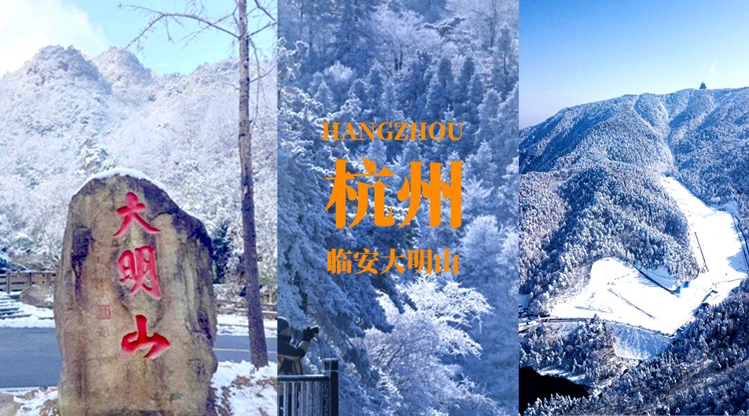 1769066416172913.jpg 2ef410dc0e9fad4d829a67ed3f77af8b.jpg